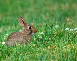 images_047